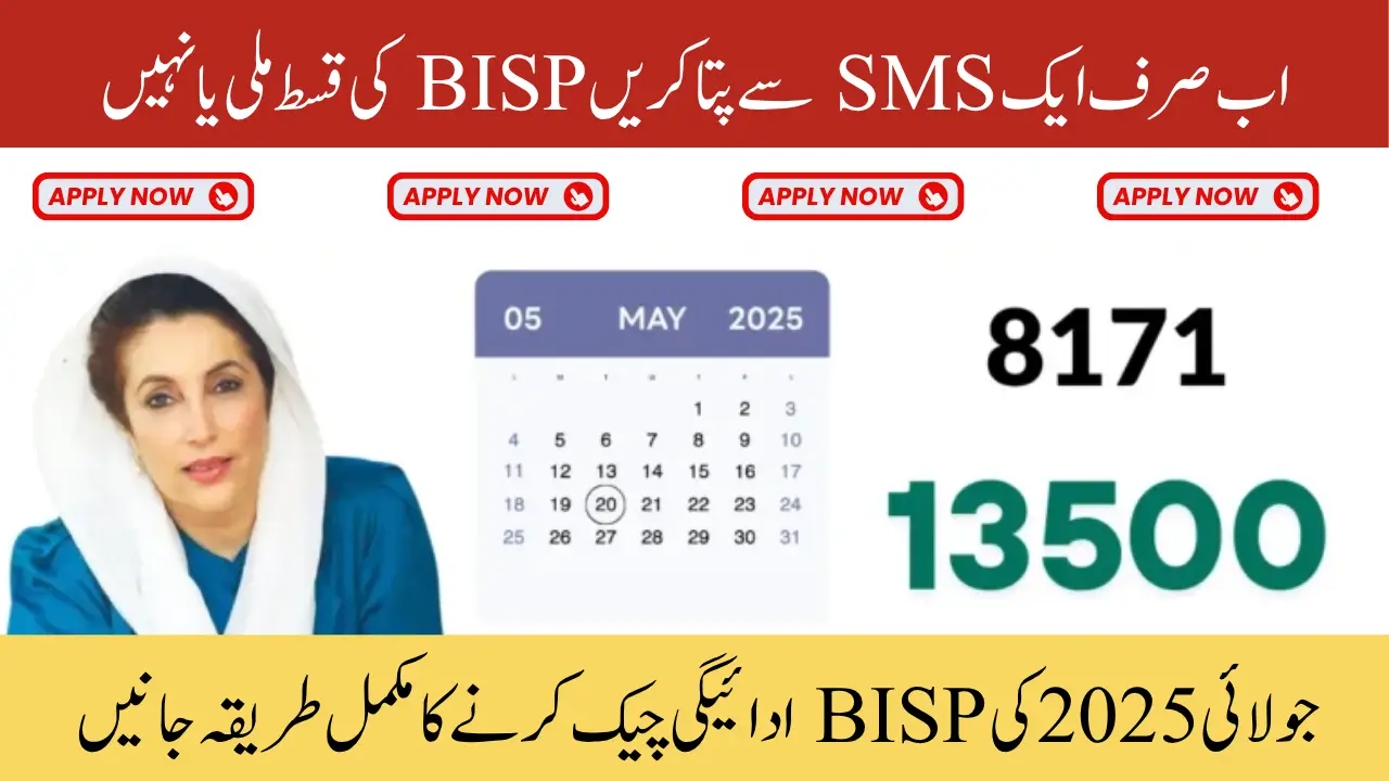 BISP 8171 Payment Check Procedures August 2025 Full Guide to Confirm Your Payment Status Online